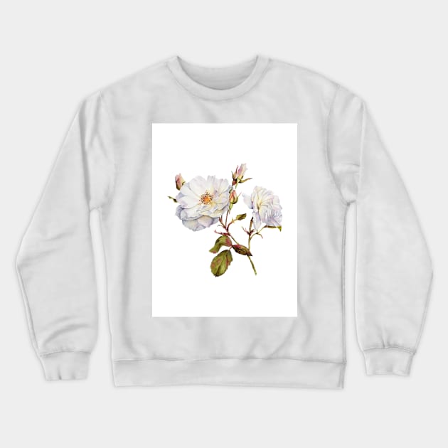 Watercolor botanical vintage Floral minimalist print- wild rose Crewneck Sweatshirt by redwitchart